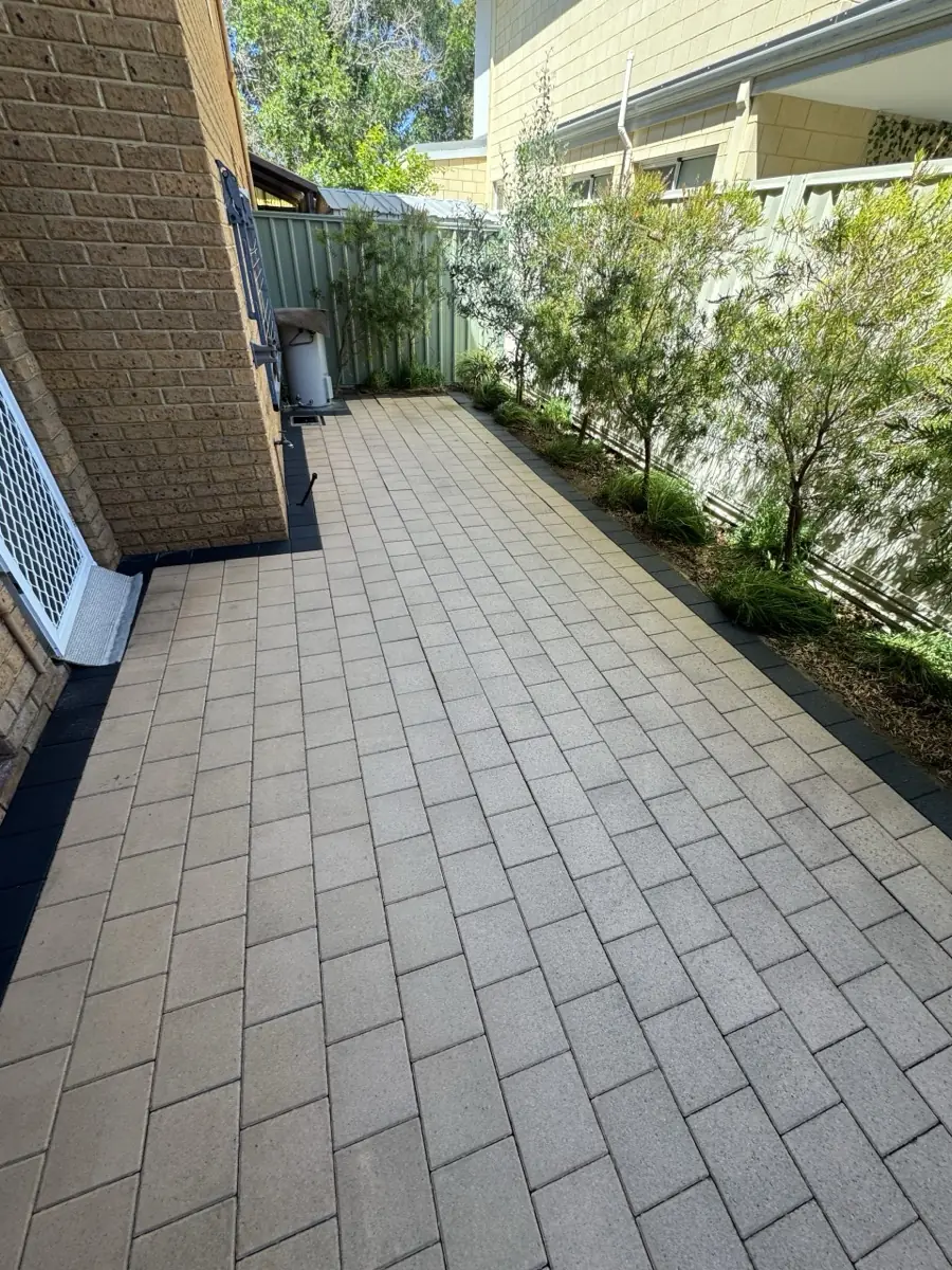 The same path clean after the biocide treatment