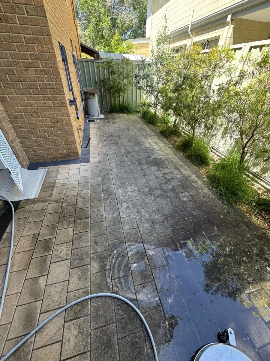 Paver path heavy with black organic staining before treatment