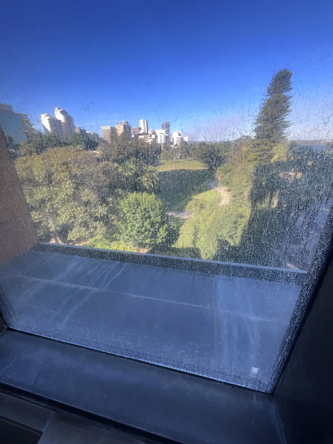 Corroded and etched glazing before restoration